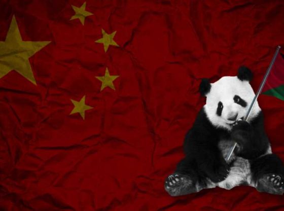 Ramzy Baroud: China blijft bij zijn principiële standpunt over Palestina