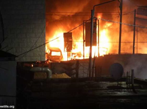 Deze week in Palestina: Toename van Kolonistengeweld en racisme