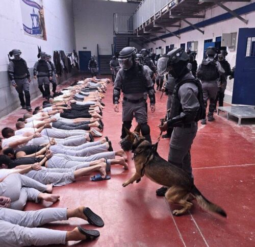 WAFA: “Uitgelekte documentatie onthult wreed geweld tegen gevangenen in Megiddo-gevangenis”.